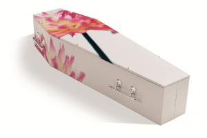 photo of cardboard coffin